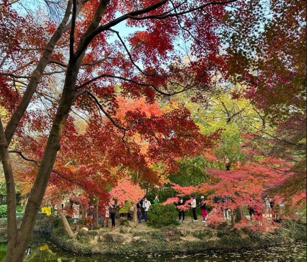 郊区跌至冰点,上海明天气温创下半年新低 郊区跌至冰点,上海明天气温创下半年新低