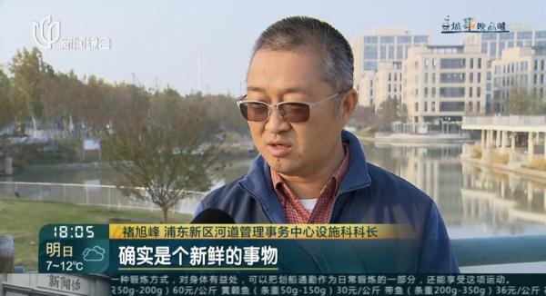 "划船上班"47天！沪一高管的通勤方式火了！网友：比开车省多久？
