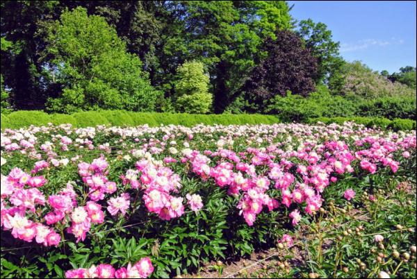 秋冬降温，如何照顾好家里的花花草草？盆栽养护指南来啦→