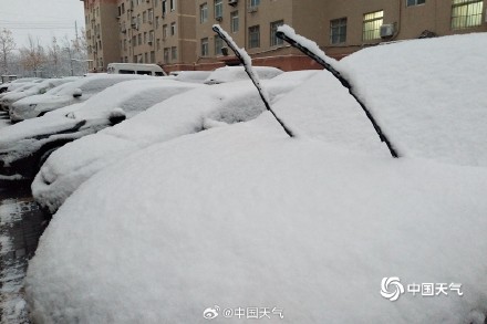 下雪啦 山东威海大地银白枝头似棉花 下雪啦 山东威海大地银白枝头似棉花