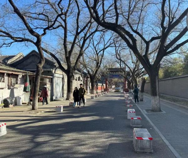 禁止停车！北京这条700年老街回归静谧