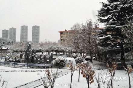 下雪啦 山东威海大地银白枝头似棉花 下雪啦 山东威海大地银白枝头似棉花