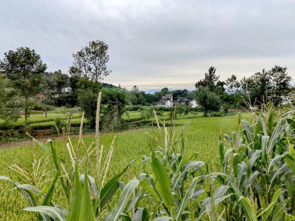 定军山：忠魂宿而浩气生——寻访诸葛亮长眠之地