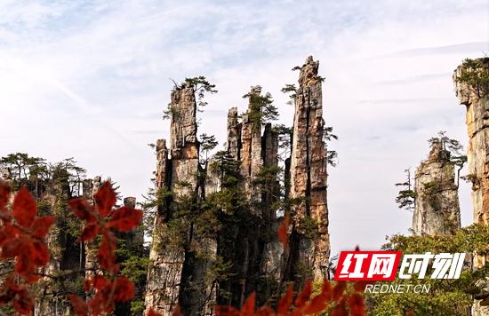 官宣！张家界武陵源景区门票有变