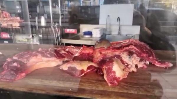 有老鼠在啃肉！知名火锅店被立案、查封！