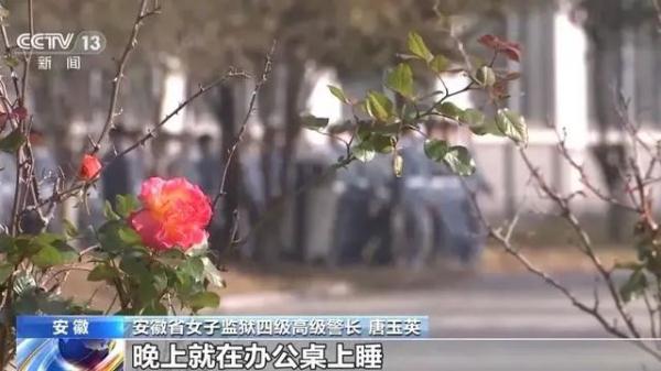 29年改造1900多名罪犯!"渐冻症"女警长被强制休息 29年改造1900多名罪犯!"渐冻症"女警长被强制休息