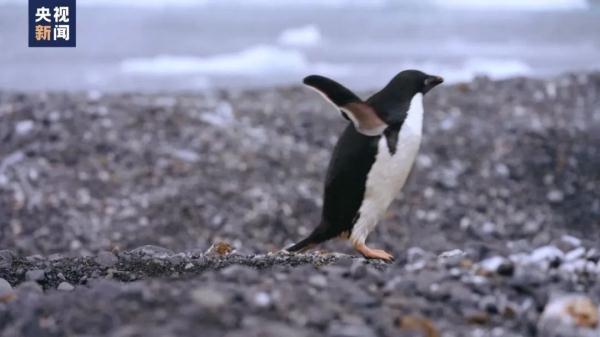 最低零下3℃!@上海人,冻真格!网友:静电堪比雷神… 最低零下3℃!@上海人,冻真格!网友:静电堪比雷神…