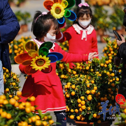 时间延长、规模扩大，2024广州迎春花市亮点抢先看