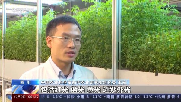 20层“高楼”里种菜 我国自主研发首座无人化垂直植物工厂建成