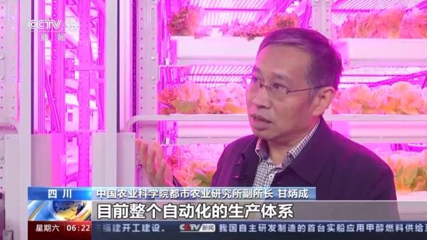 20层“高楼”里种菜 我国自主研发首座无人化垂直植物工厂建成
