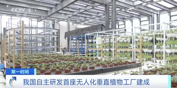 我国自主研发首座无人化垂直植物工厂建成 我国自主研发首座无人化垂直植物工厂建成