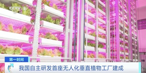 我国自主研发首座无人化垂直植物工厂建成 我国自主研发首座无人化垂直植物工厂建成