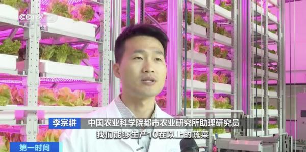 我国自主研发首座无人化垂直植物工厂建成 我国自主研发首座无人化垂直植物工厂建成