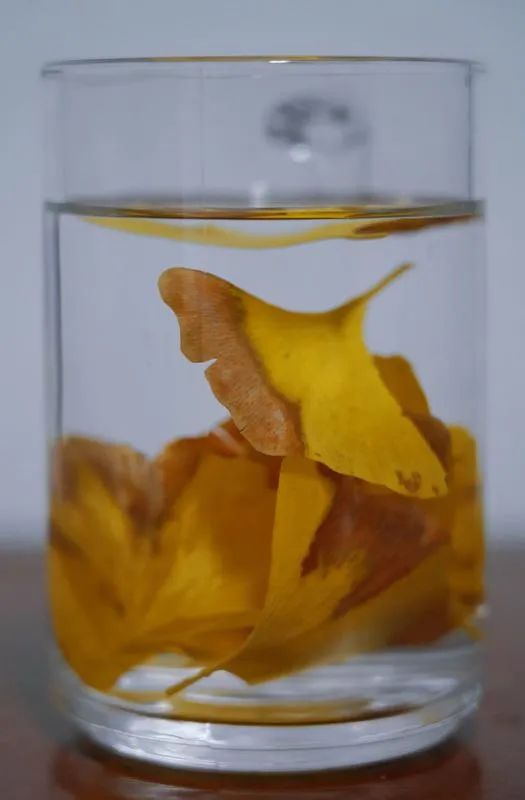 现在有些大街上都有，医生：别捡！