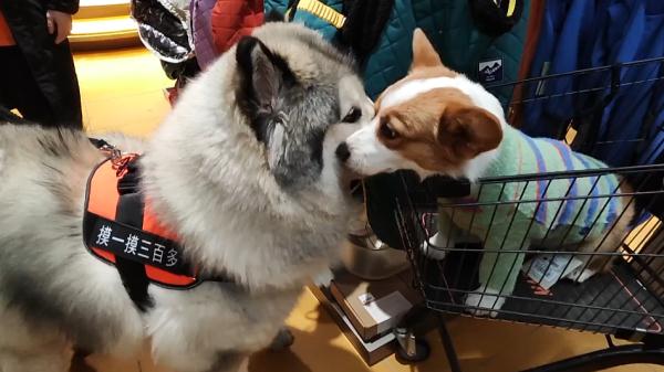 偷偷告诉你:在这个“盒子”里打卡发朋友圈,能“潮”过99%的人! 偷偷告诉你:在这个“盒子”里打卡发朋友圈,能“潮”过99%的人!