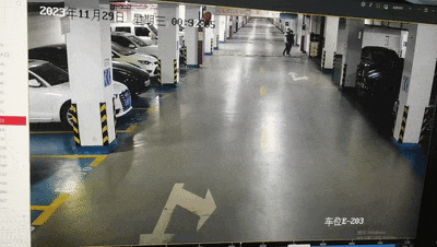 太刺激！杭州一小区车库被监控拍下……