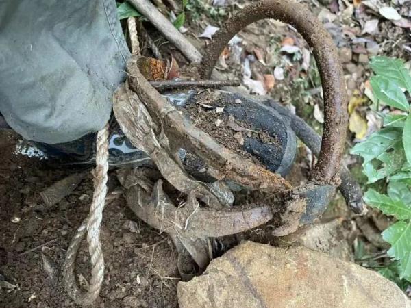 惊险！游客踩中野猪夹被困山林，40余人深夜搜山