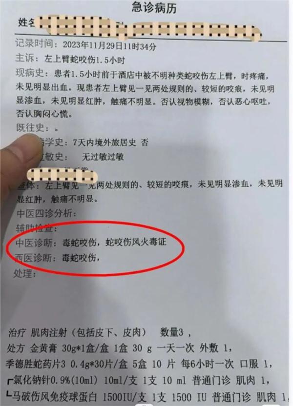 女子称入住上海网红酒店被蛇咬，商家最新回应！被毒蛇咬了该怎么办？