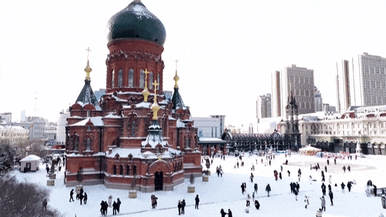 “不是欧洲去不起，而是哈尔滨更有性价比”