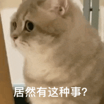 杭州男子办公室闯进一只黑影，专家一看，来头不小