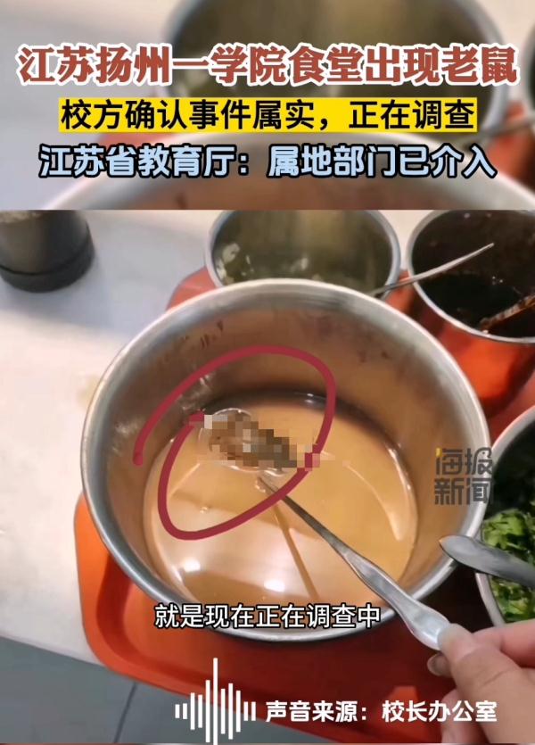 食堂麻酱中发现整只老鼠，高校通报！