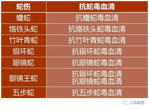女子称入住上海网红酒店被蛇咬，商家最新回应！被毒蛇咬了该怎么办？