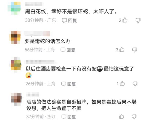 花2500元住豪华酒店,竟被蛇咬了 花2500元住豪华酒店,竟被蛇咬了