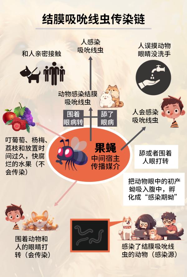 女子双眼取出60多条活虫，很多人都有这个习惯