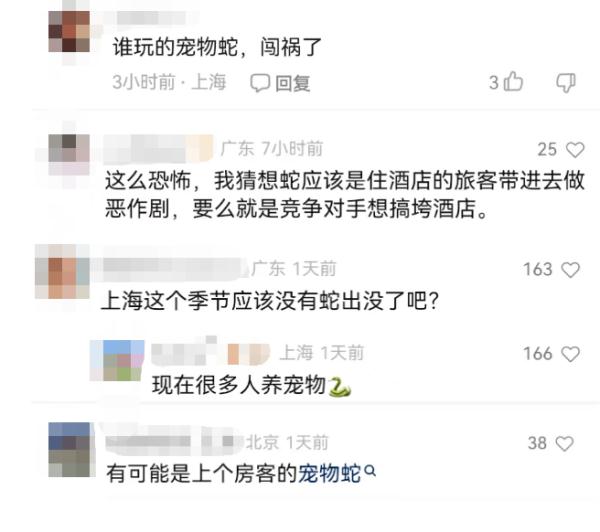 花2500元住豪华酒店,竟被蛇咬了 花2500元住豪华酒店,竟被蛇咬了