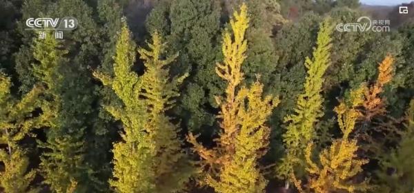 “旅游+”跨界融合激发冬季旅游“热” 新型消费服务亮点频现