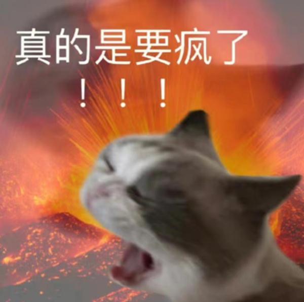 杭州小伙:爸,这泼天的富贵我能晚点再要吗? 杭州小伙:爸,这泼天的富贵我能晚点再要吗?