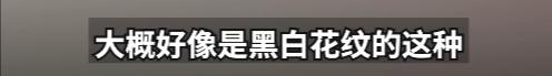 2500元住上海顶级酒店熟睡中被蛇咬伤？官方：蛇没找到，双方初步和解