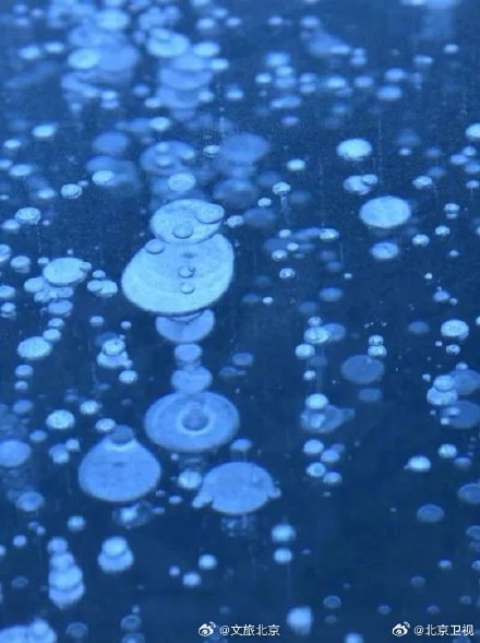 昌平出现罕见气泡冰景观