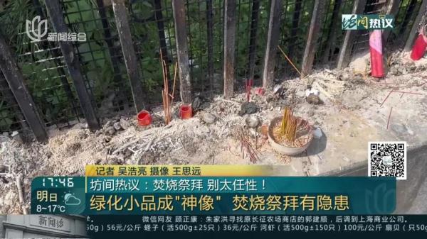 上海街头绿化带里，居然有人焚烧香烛？谜之真相来了…