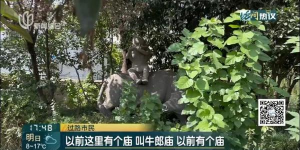 上海街头绿化带里，居然有人焚烧香烛？谜之真相来了…