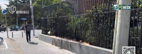 上海街头绿化带里，居然有人焚烧香烛？谜之真相来了…