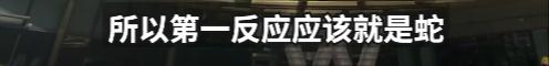 2500元住上海顶级酒店熟睡中被蛇咬伤？官方：蛇没找到，双方初步和解