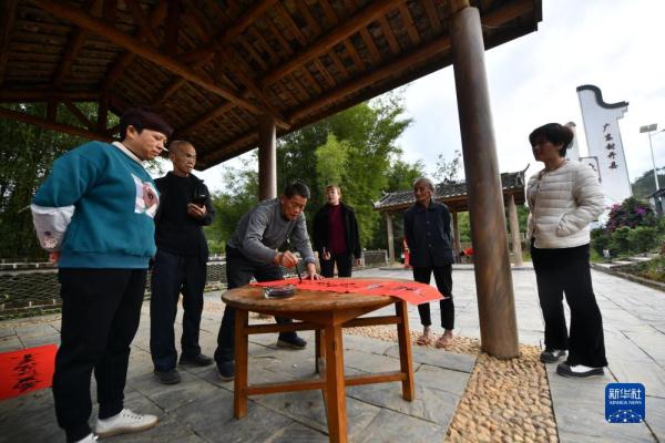 广西苍梧：粤桂合作促发展