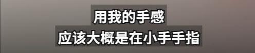 2500元住上海顶级酒店熟睡中被蛇咬伤？官方：蛇没找到，双方初步和解