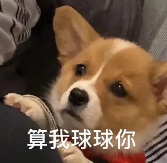 杭州小伙:爸,这泼天的富贵我能晚点再要吗? 杭州小伙:爸,这泼天的富贵我能晚点再要吗?