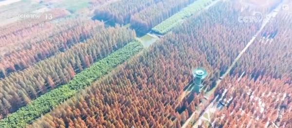 “旅游+”跨界融合激发冬季旅游“热” 新型消费服务亮点频现