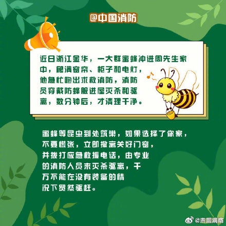 偶遇野生动物先别慌！