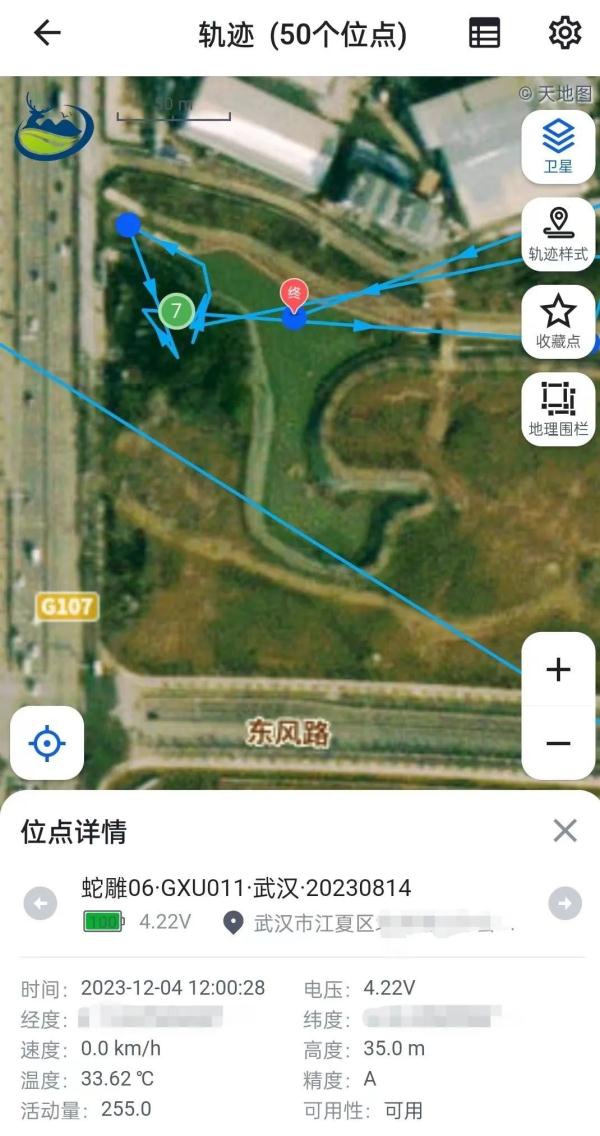 100天后，回家的“小毛球”咋样了？