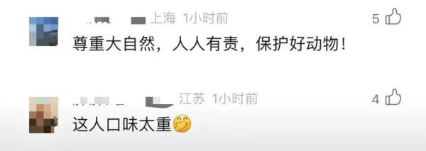 重口味！上海男子为吃野味，猎捕三十多只黄鼠狼！网友：“大仙”也敢动？