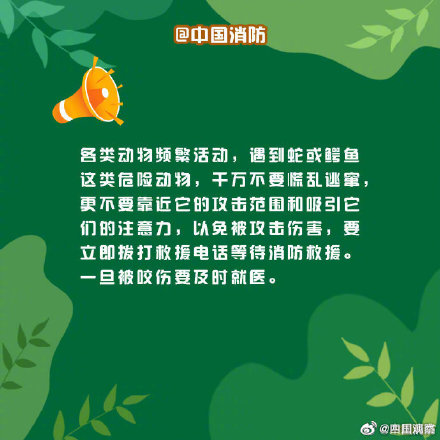 偶遇野生动物先别慌！