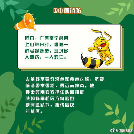 偶遇野生动物先别慌！