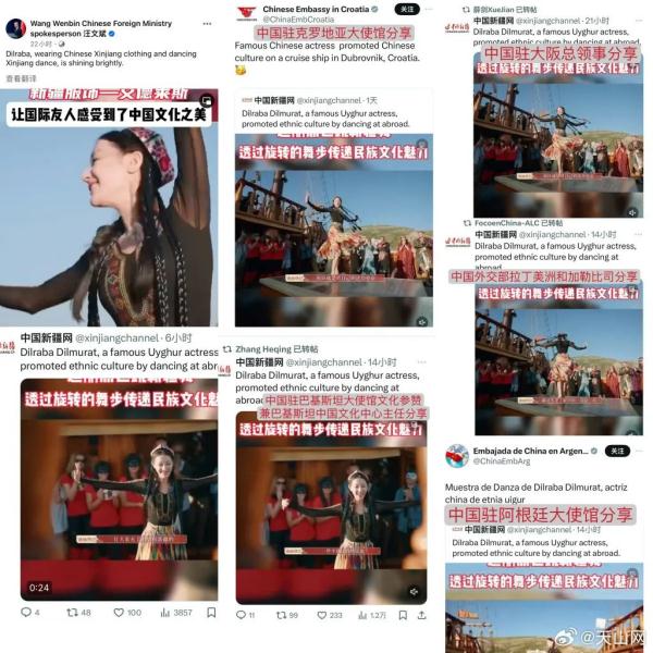 外交部发言人点赞迪丽热巴！网友：这才是公众人物真正的意义