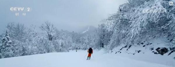 “旅游+”跨界融合激发冬季旅游“热” 新型消费服务亮点频现