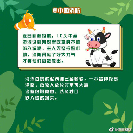 偶遇野生动物先别慌！