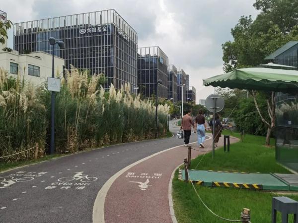 许多上海人心目中的宝藏骑行地，为何却频频发生事故？官方开始“做规矩”了！